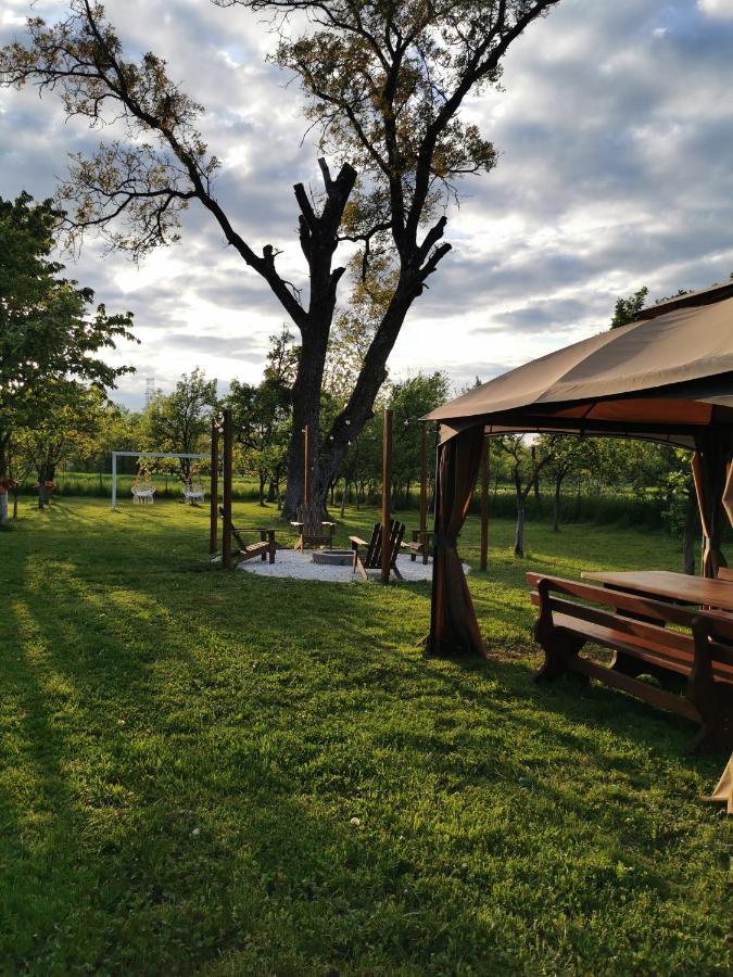 Green Garden Glamping Retezat Bălan Exterior photo