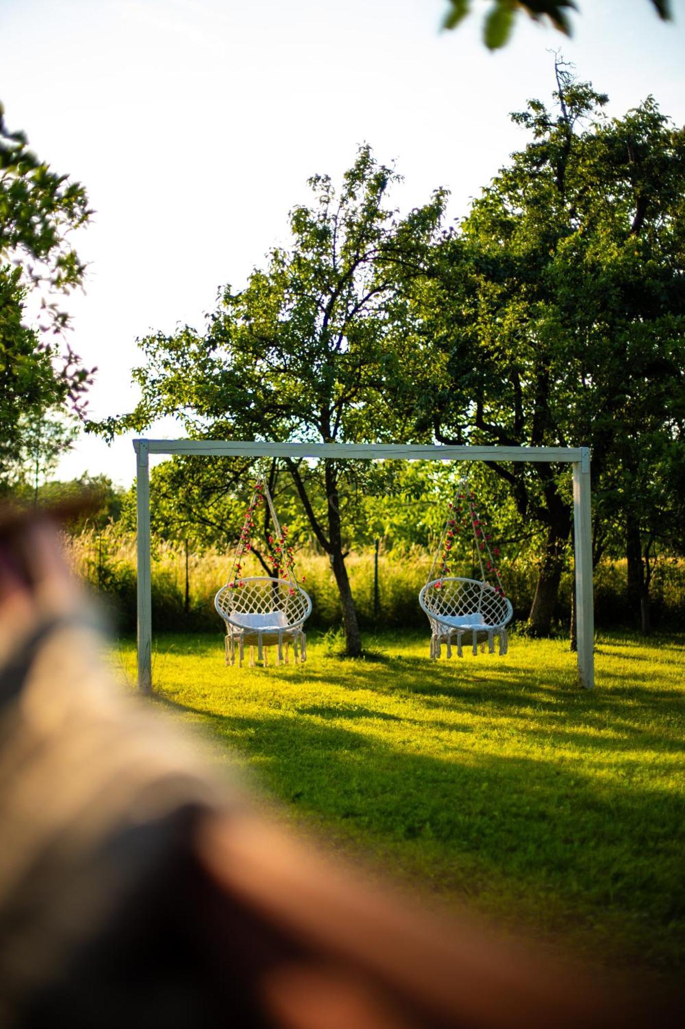 Green Garden Glamping Retezat Bălan Exterior photo