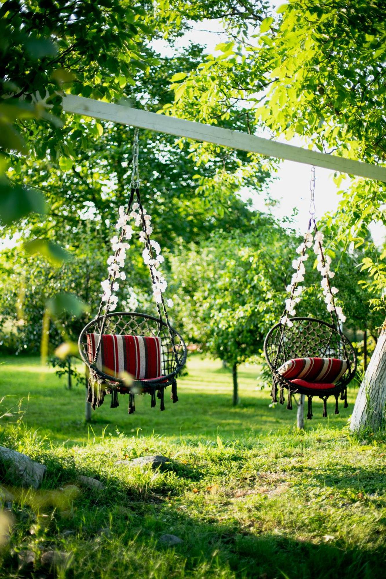 Green Garden Glamping Retezat Bălan Exterior photo